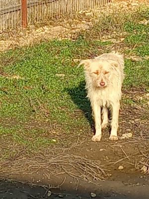 594957190 1172425165024727 4052067118620634737 n