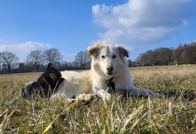 2025 02 27 21 54 55 Nate ❤️ Traumgefährte Im Karussell Des Lebens In Niedersachsen Wedemark Misc