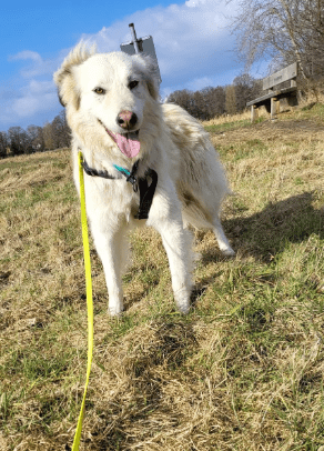2025 02 27 21 55 14 Nate ❤️ Traumgefährte Im Karussell Des Lebens In Niedersachsen Wedemark Misc