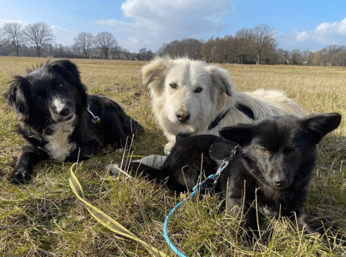 2025 02 27 21 55 24 Nate ❤️ Traumgefährte Im Karussell Des Lebens In Niedersachsen Wedemark Misc