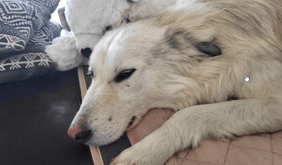 2025 02 27 21 55 34 Nate ❤️ Traumgefährte Im Karussell Des Lebens In Niedersachsen Wedemark Misc