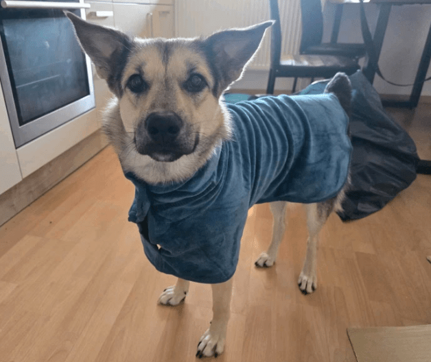 2025 10 23 17 59 33 chat schneider, david microsoft teams