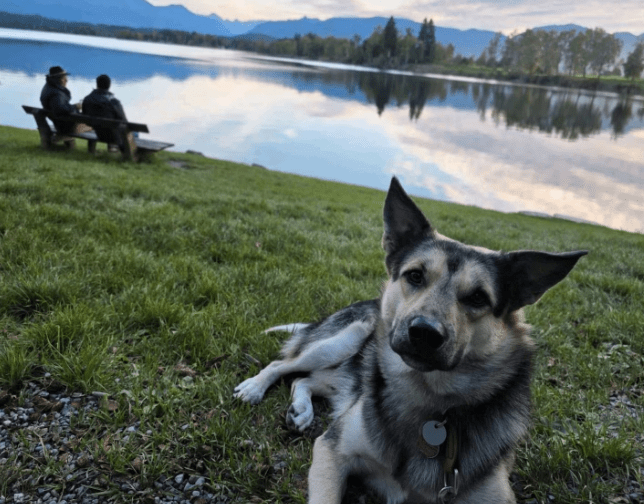 2025 10 23 17 59 43 chat schneider, david microsoft teams