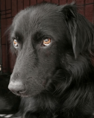 Nadim (BV) Nadim (BV)