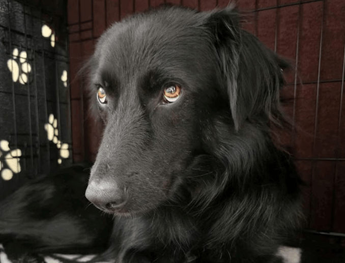 2025 11 02 15 46 12 posteingang sina.rieke kroeger@oetker.com outlook