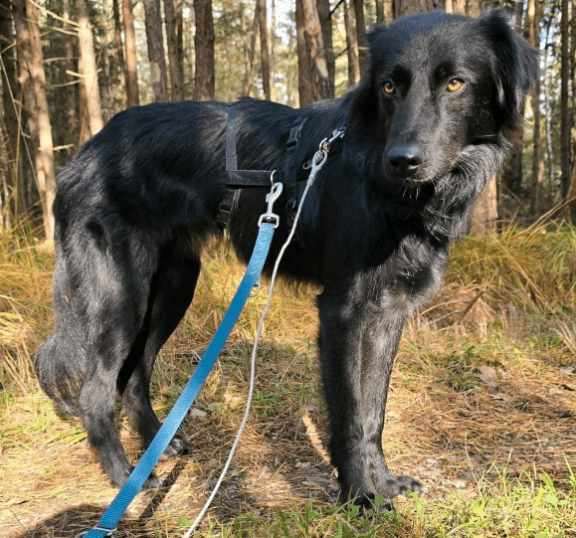 2025 11 02 15 46 16 posteingang sina.rieke kroeger@oetker.com outlook