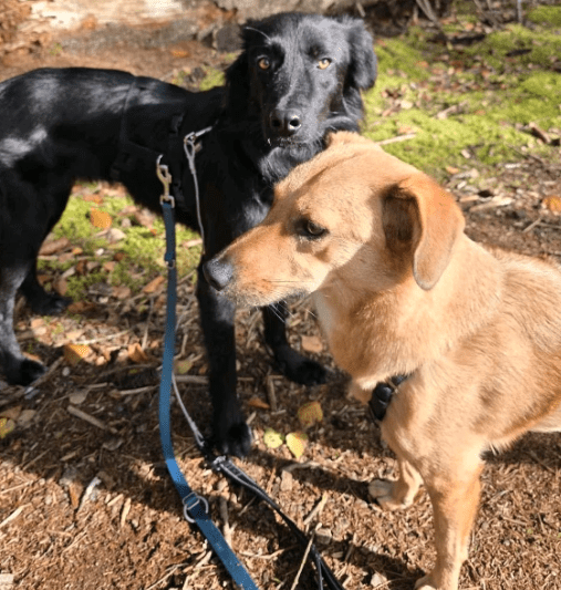 2025 11 02 15 46 23 posteingang sina.rieke kroeger@oetker.com outlook