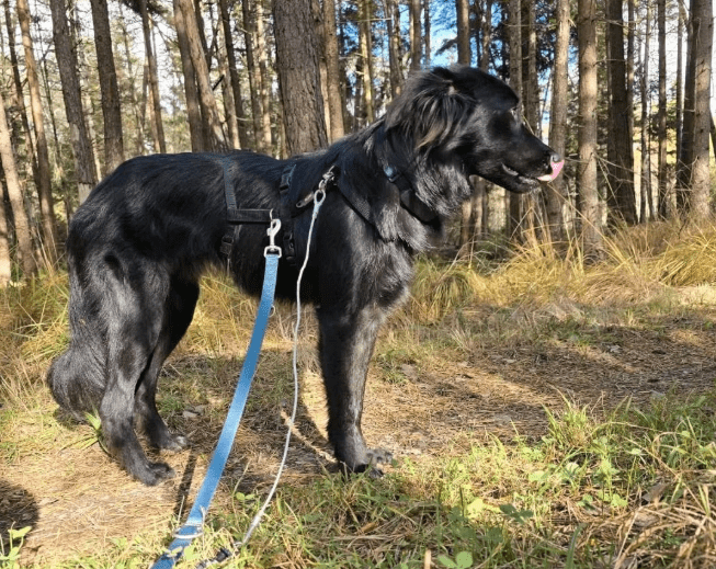 2025 11 02 15 46 28 posteingang sina.rieke kroeger@oetker.com outlook