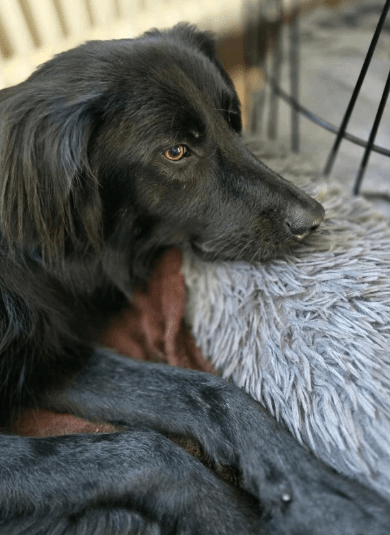 2025 11 02 15 46 35 posteingang sina.rieke kroeger@oetker.com outlook