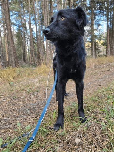 2025 11 02 15 46 41 posteingang sina.rieke kroeger@oetker.com outlook