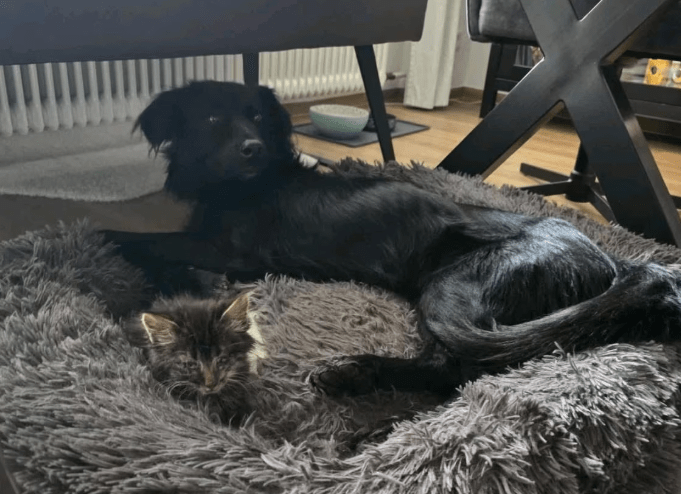 2025 11 02 15 46 47 posteingang sina.rieke kroeger@oetker.com outlook