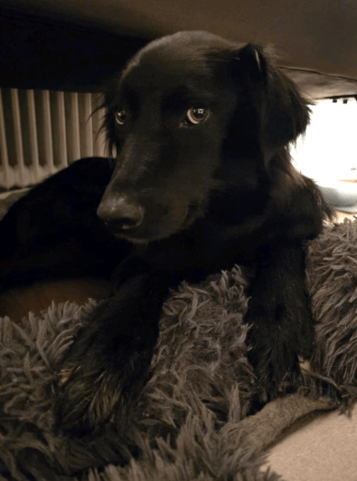 2025 11 02 15 46 55 posteingang sina.rieke kroeger@oetker.com outlook