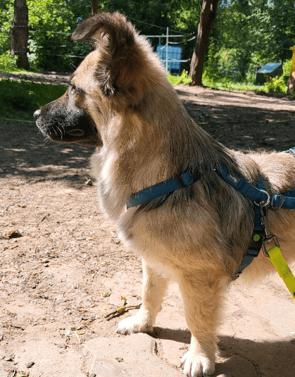 2024 06 10 20 28 38 Sanfte Mina ❤️ Sucht Ihre Herzensmenschen In Rheinland Pfalz Stadecken Elshei