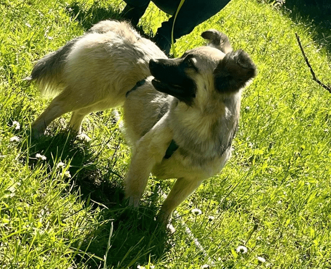 2024 06 10 20 29 02 Sanfte Mina ❤️ Sucht Ihre Herzensmenschen In Rheinland Pfalz Stadecken Elshei