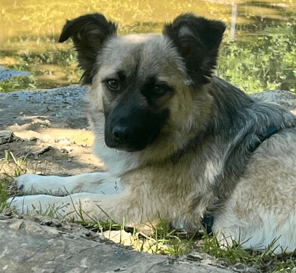 2024 06 10 20 29 11 Sanfte Mina ❤️ Sucht Ihre Herzensmenschen In Rheinland Pfalz Stadecken Elshei