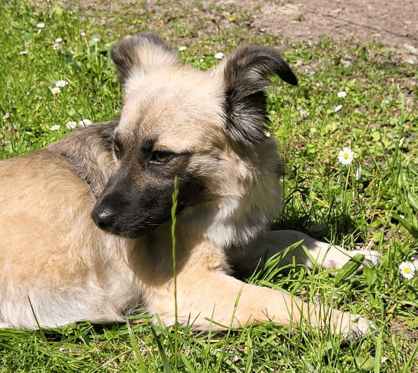 2024 06 10 20 29 34 Sanfte Mina ❤️ Sucht Ihre Herzensmenschen In Rheinland Pfalz Stadecken Elshei