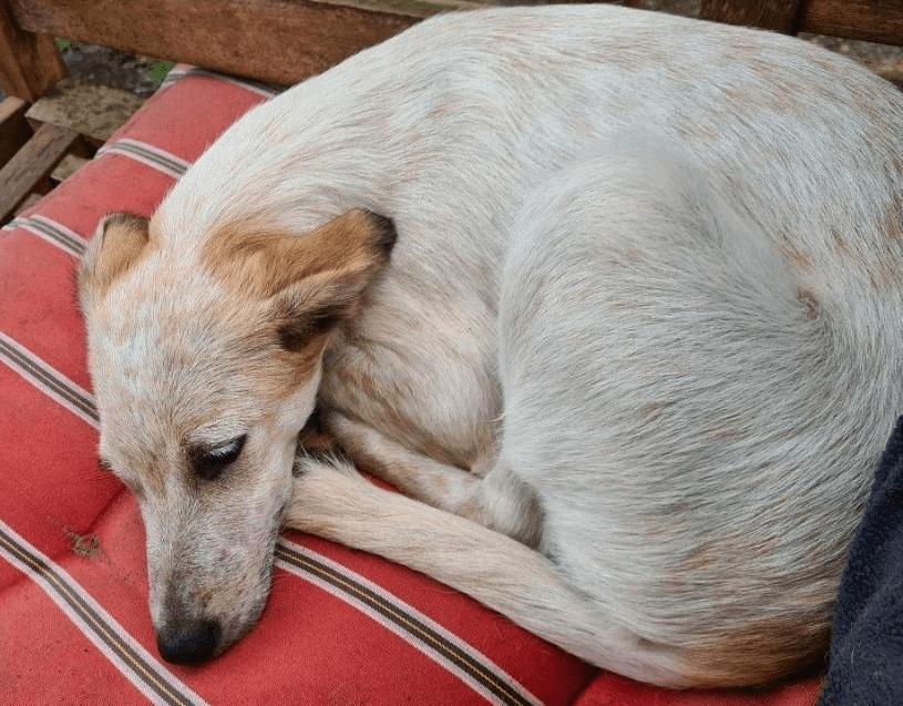 2024 08 11 22 44 24 Goldschatz Khione❤️ Sucht Ihr Glück In Niedersachsen Buchholz (aller) Mischl