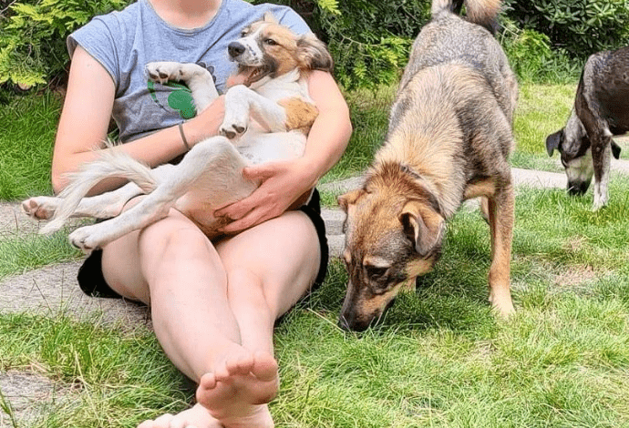 2024 08 11 22 46 35 Karlo ❤️ Liebevolle Frohnatur Mit Köpfchen In Niedersachsen Buchholz (aller) 