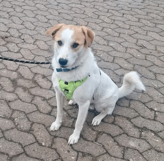 2025 11 02 15 50 38 posteingang sina.rieke kroeger@oetker.com outlook