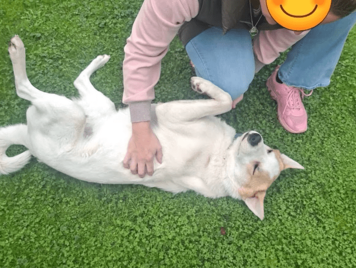 2025 11 02 15 50 44 posteingang sina.rieke kroeger@oetker.com outlook