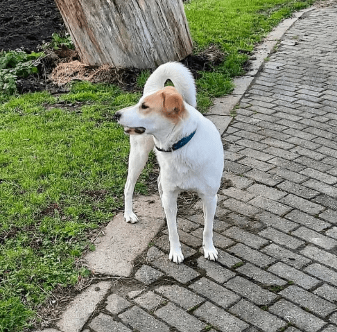 2025 11 02 15 50 50 posteingang sina.rieke kroeger@oetker.com outlook