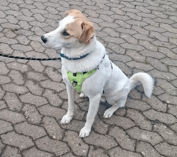 2025 11 02 15 50 56 posteingang sina.rieke kroeger@oetker.com outlook