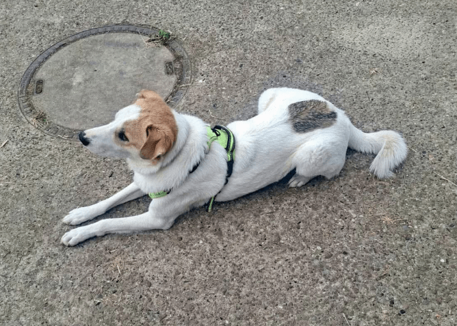 2025 11 02 15 51 02 posteingang sina.rieke kroeger@oetker.com outlook