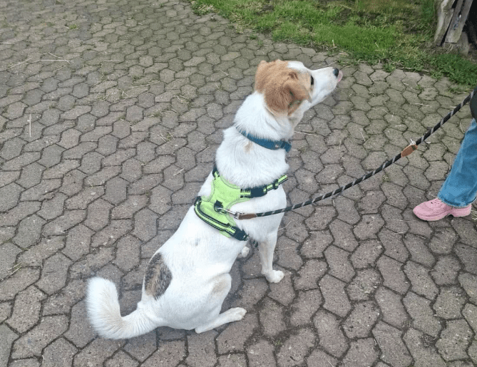 2025 11 02 15 51 08 posteingang sina.rieke kroeger@oetker.com outlook