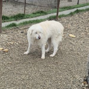 589150710 1615014453199646 6772981962081194611 n