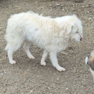 589736249 1734212103923059 8170435524407532724 n