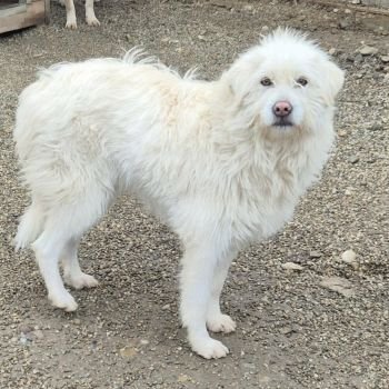 589902123 4255040771481115 423448323484720000 n