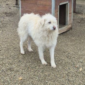 590347560 1393246139004502 6899246992660735508 n