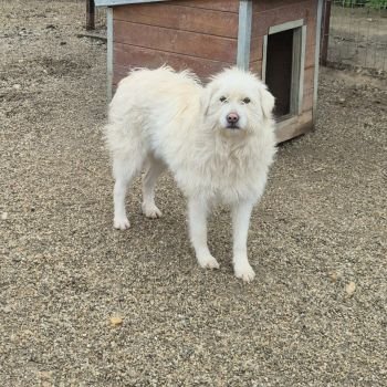 591782550 838695018903436 3767458458103113970 n