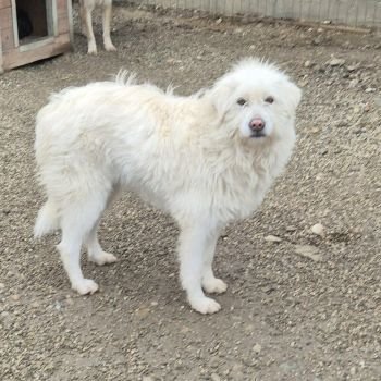 592827876 615685698267290 3173499150754558708 n