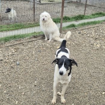 592909656 1597165138113271 5615941244086805457 n