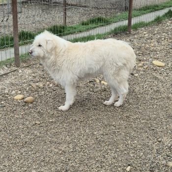 594437177 1284459123791633 3181886585454627462 n