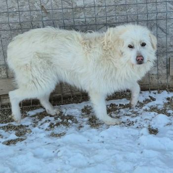 614715728 867958772726272 4710098611384033448 n