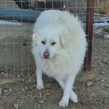 614922296 2829937870699329 316511659553275296 n