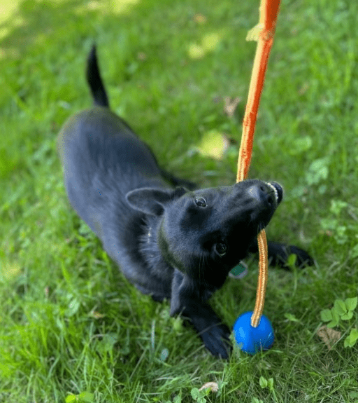 2025 11 04 16 40 20 posteingang sina.rieke kroeger@oetker.com outlook