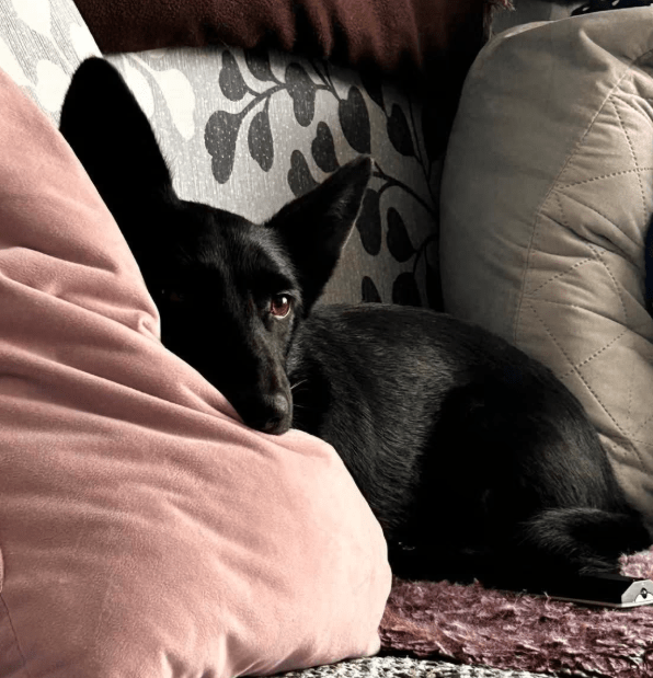 2025 11 04 16 40 23 posteingang sina.rieke kroeger@oetker.com outlook