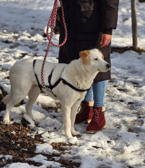 2025 01 17 23 03 01 Liebenswerte Odette❤ Auf Der Suche Nach Dem Glück In Nordrhein Westfalen Alsdo