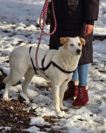 2025 01 17 23 03 12 Liebenswerte Odette❤ Auf Der Suche Nach Dem Glück In Nordrhein Westfalen Alsdo