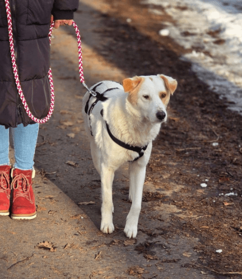 2025 01 17 23 03 22 Liebenswerte Odette❤ Auf Der Suche Nach Dem Glück In Nordrhein Westfalen Alsdo