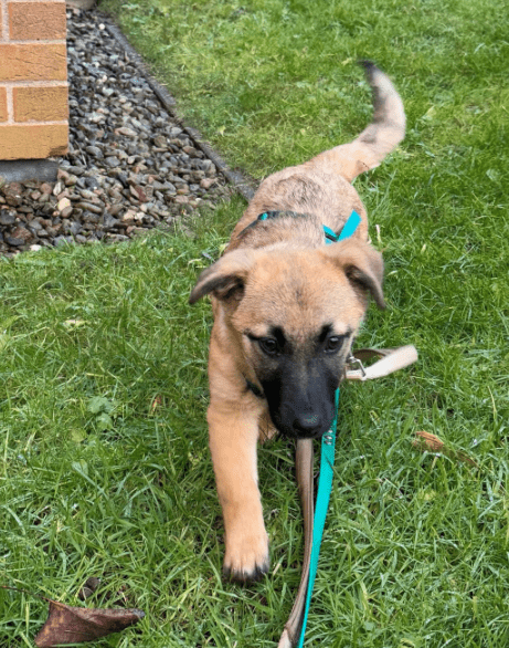 2025 01 29 21 32 53 Fae ❤️ Kleine Herzensbrecherin Sucht Familienanschluss In Niedersachsen Bad Mü