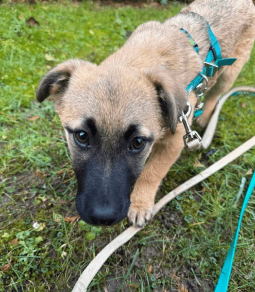 2025 01 29 21 33 01 Fae ❤️ Kleine Herzensbrecherin Sucht Familienanschluss In Niedersachsen Bad Mü