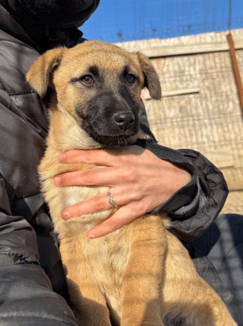 2025 01 29 21 33 35 Fae ❤️ Kleine Herzensbrecherin Sucht Familienanschluss In Niedersachsen Bad Mü