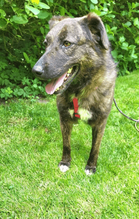 2025 05 26 08 58 23 treue seele eni ♥️sucht ihre herzensmenschen in niedersachsen wedemark misch