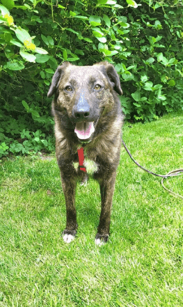 2025 05 26 08 58 45 treue seele eni ♥️sucht ihre herzensmenschen in niedersachsen wedemark misch