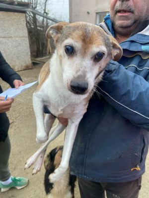 597625330 843136155014045 3681955974452189988 n