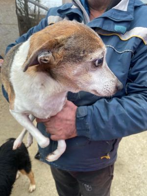 597848161 850240731058059 7809089715144270279 n